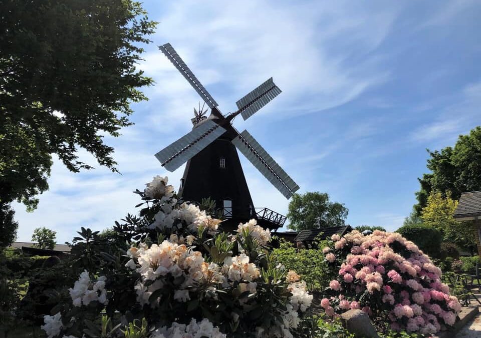 Krolf ved Uldum Mølle!